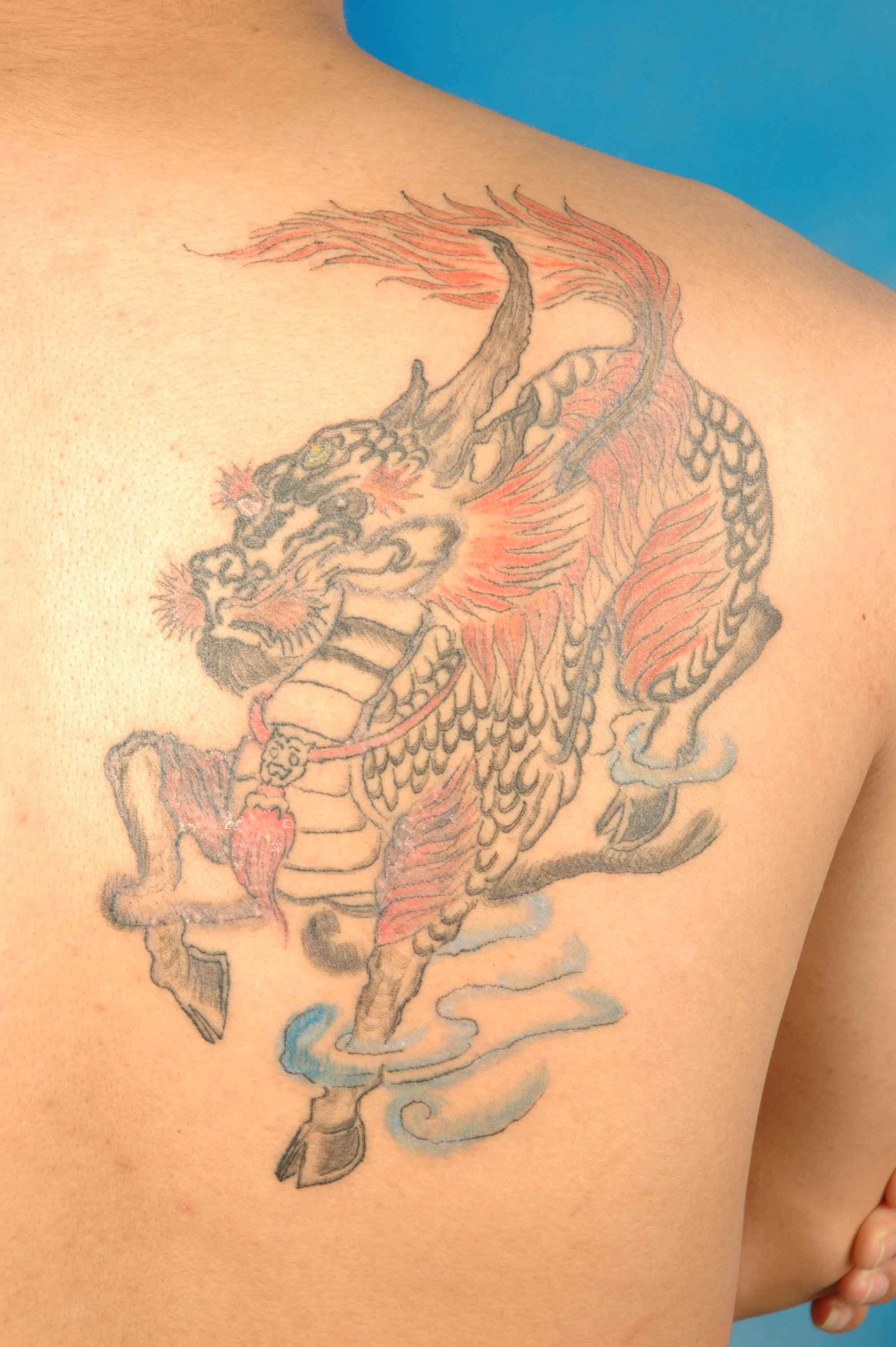 经典贵族灬猎人